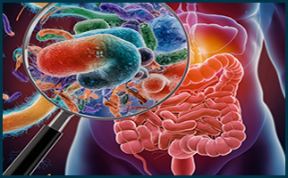 Gut Vita supporting gut wellness